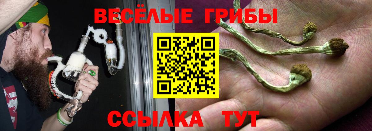 Галлюциногенные грибы Psilocybine cubensis  Вход с VPN  Пыть-Ях  Псилоцибиновые грибы мицелий 